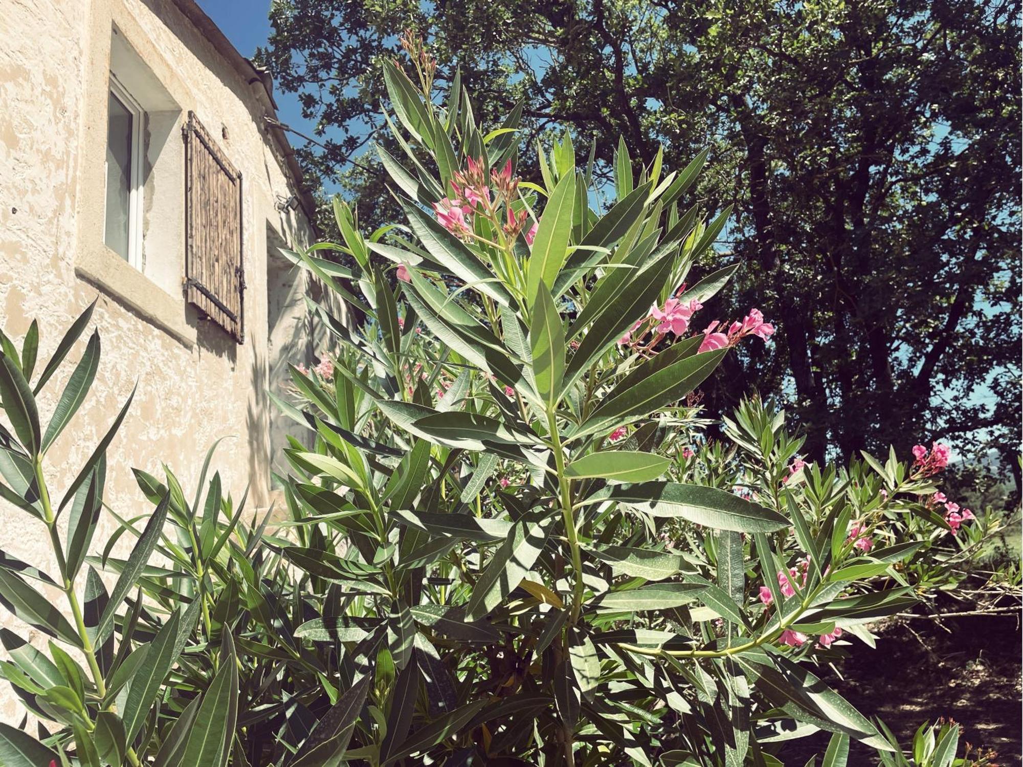 Appartement A La Campagne LʼIsle-sur-la-Sorgue Extérieur photo